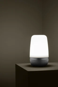 LED Outdoor Leuchte -SPIRIT- Platinum Gray Size L