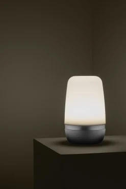 LED Outdoor Leuchte -SPIRIT- Platinum Gray Size L