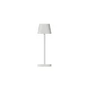 Mobile LED Leuchte -KODU- Farbe White